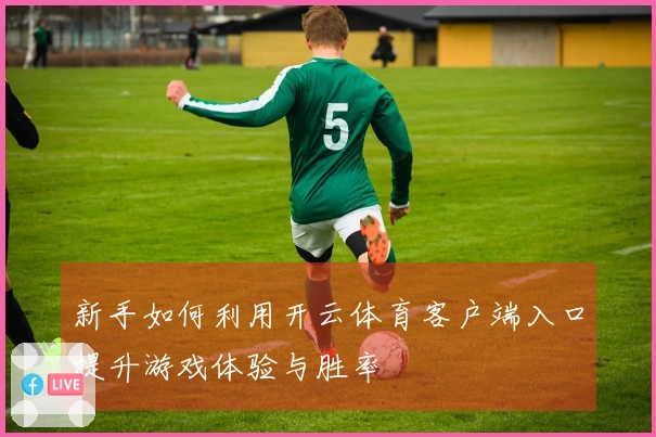 新手如何利用开云体育客户端入口提升游戏体验与胜率